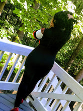 Load image into Gallery viewer, Racer Jumpsuit (Plus Size Available)